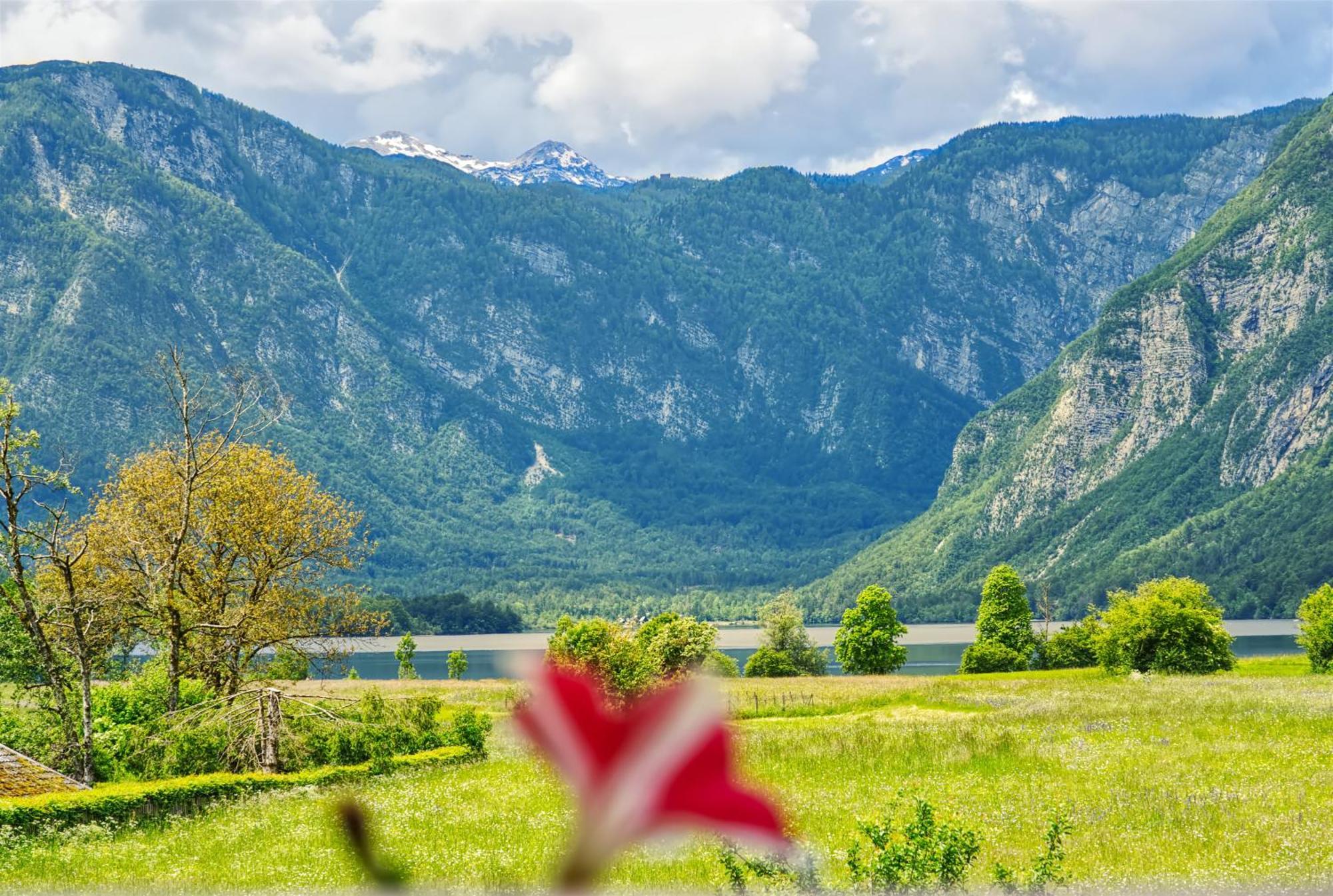 Apartments Kovacic Bohinj Bagian luar foto